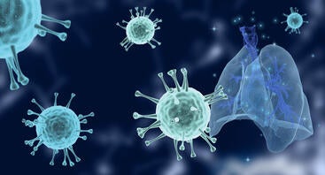 collage of lungs and the novel coronavirus that causes covid-19
